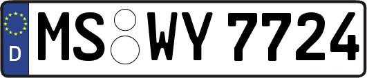 MS-WY7724