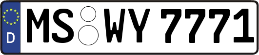 MS-WY7771