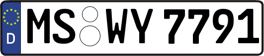 MS-WY7791