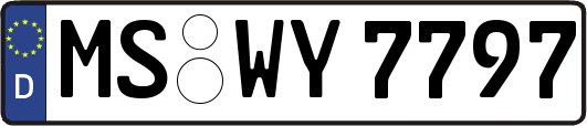 MS-WY7797