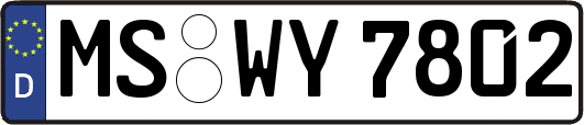 MS-WY7802