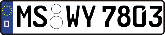 MS-WY7803
