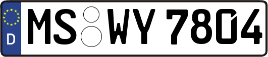 MS-WY7804