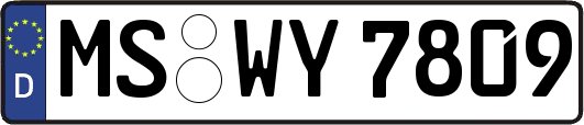 MS-WY7809