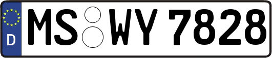 MS-WY7828