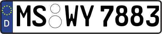 MS-WY7883