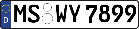 MS-WY7899