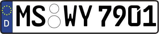 MS-WY7901