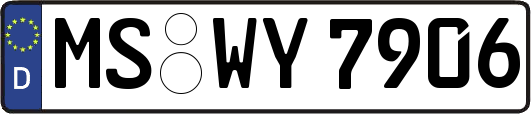 MS-WY7906