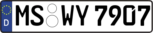 MS-WY7907