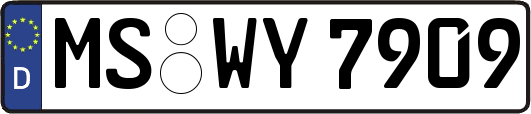 MS-WY7909