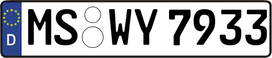 MS-WY7933