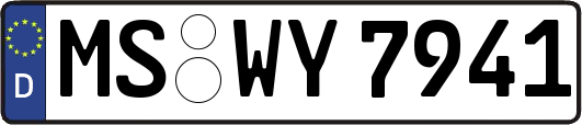 MS-WY7941