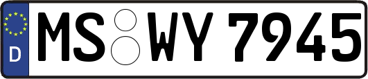 MS-WY7945