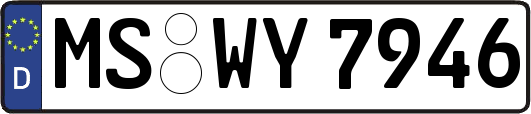 MS-WY7946