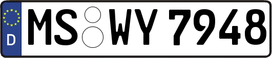 MS-WY7948