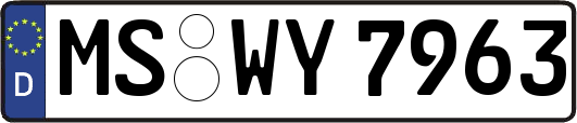 MS-WY7963