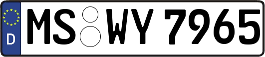 MS-WY7965