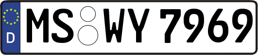 MS-WY7969