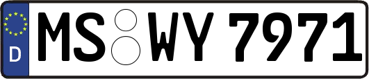 MS-WY7971