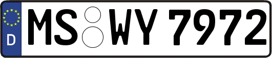 MS-WY7972