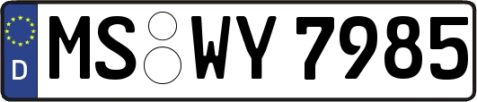 MS-WY7985