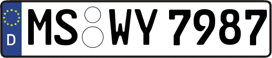 MS-WY7987