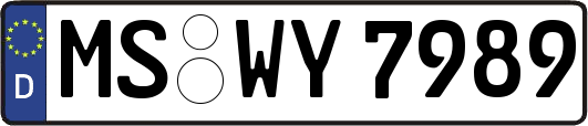 MS-WY7989