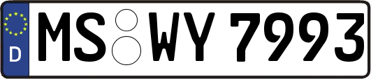 MS-WY7993