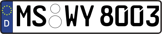 MS-WY8003