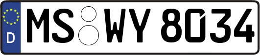 MS-WY8034