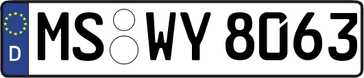 MS-WY8063