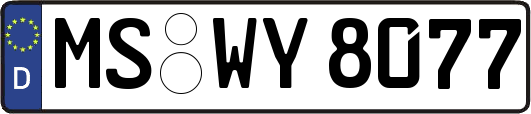 MS-WY8077