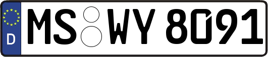 MS-WY8091