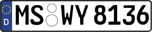 MS-WY8136