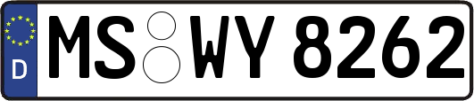 MS-WY8262