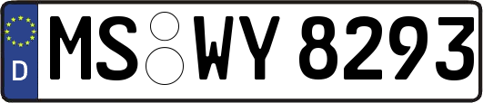 MS-WY8293