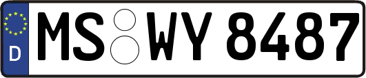 MS-WY8487