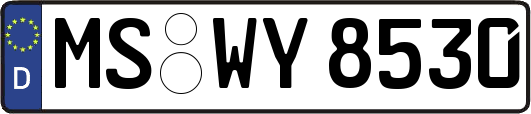 MS-WY8530