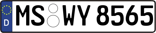 MS-WY8565