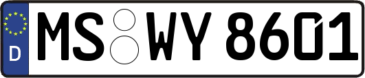 MS-WY8601