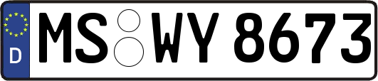 MS-WY8673