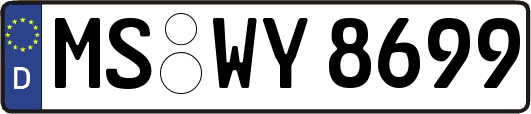 MS-WY8699