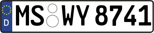 MS-WY8741