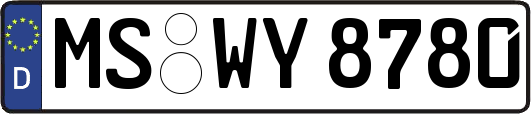 MS-WY8780