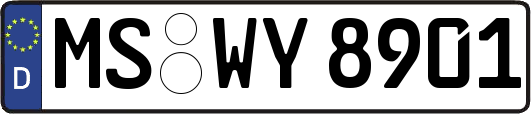 MS-WY8901