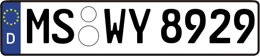 MS-WY8929