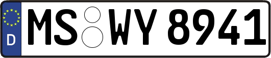 MS-WY8941