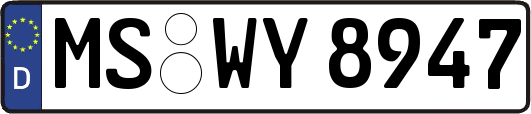 MS-WY8947