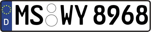 MS-WY8968
